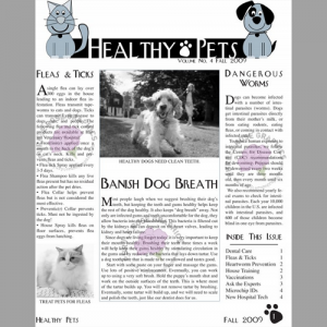 newsletter design