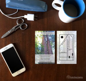 Chiropractor Business Card Design
