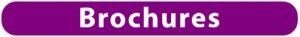 Brochures Icon